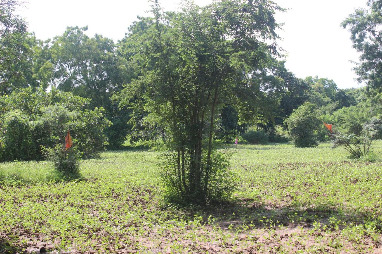 Wilpattu Holiday Home Nochchiyagama Exterior foto