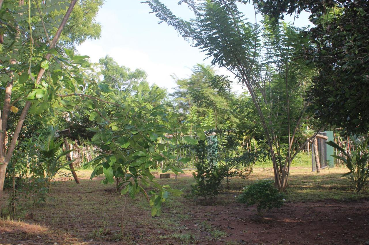 Wilpattu Holiday Home Nochchiyagama Exterior foto
