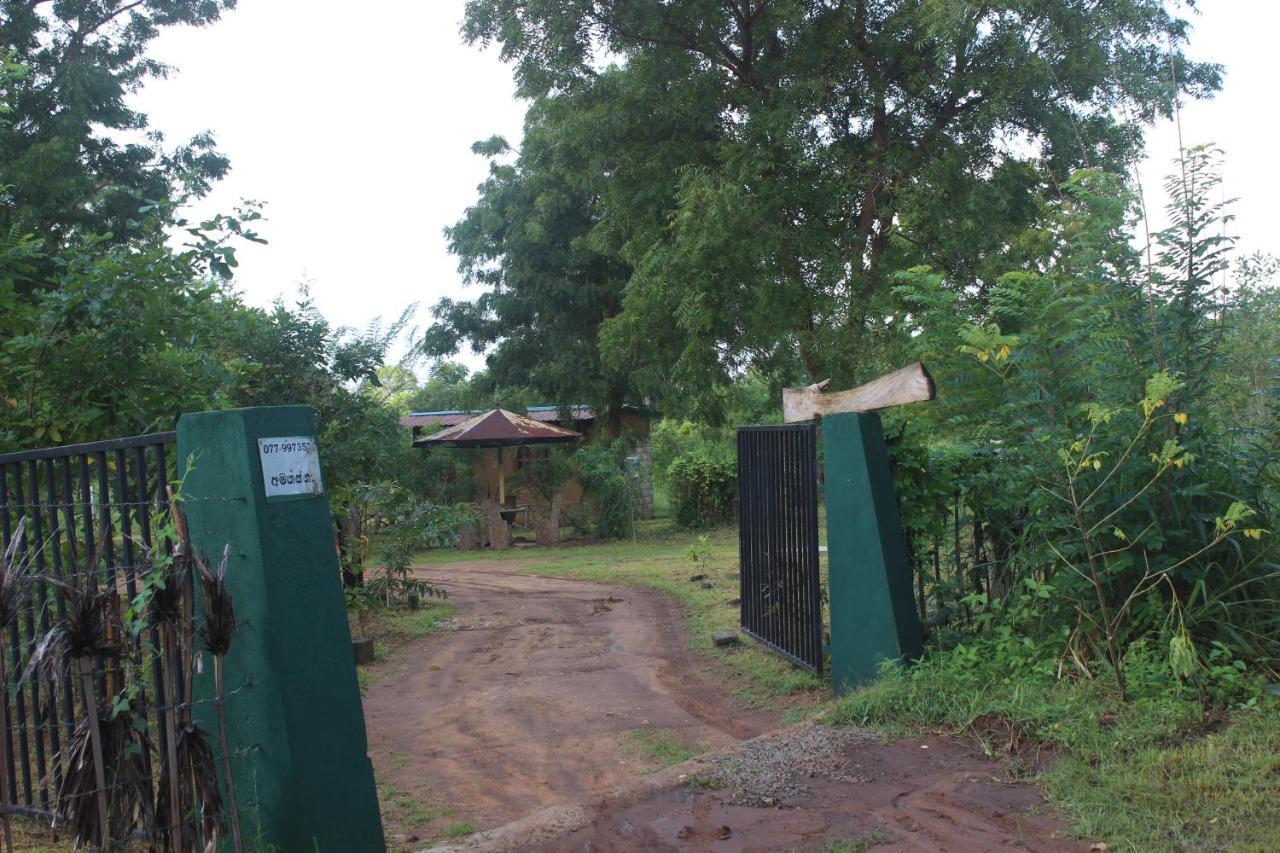 Wilpattu Holiday Home Nochchiyagama Exterior foto
