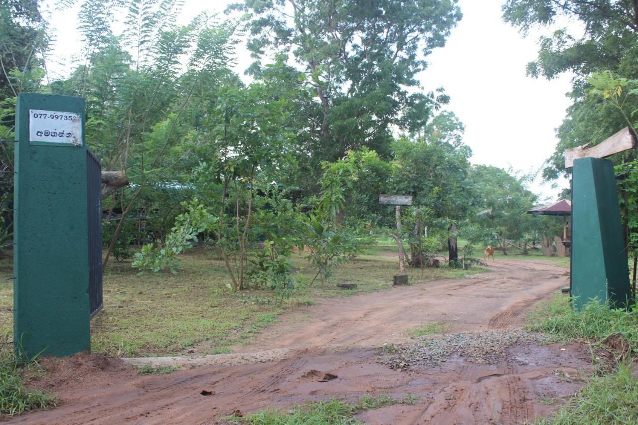 Wilpattu Holiday Home Nochchiyagama Exterior foto