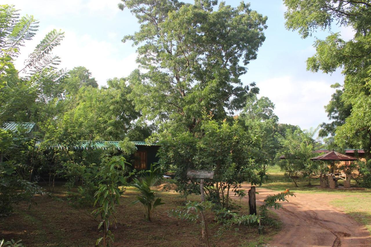 Wilpattu Holiday Home Nochchiyagama Exterior foto